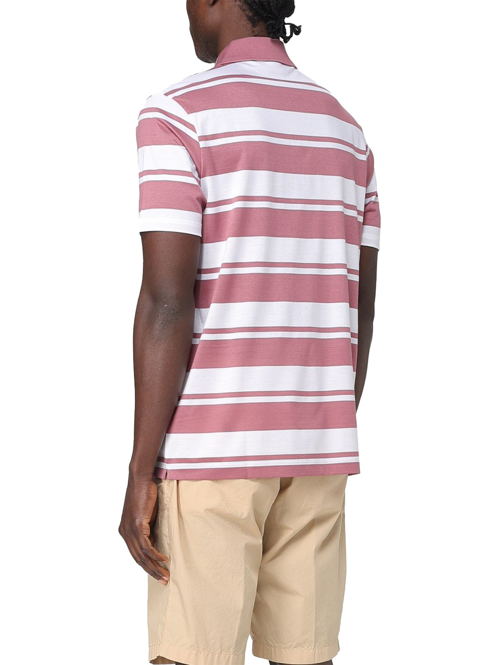 Herren Polo paul e shark 25411309-325