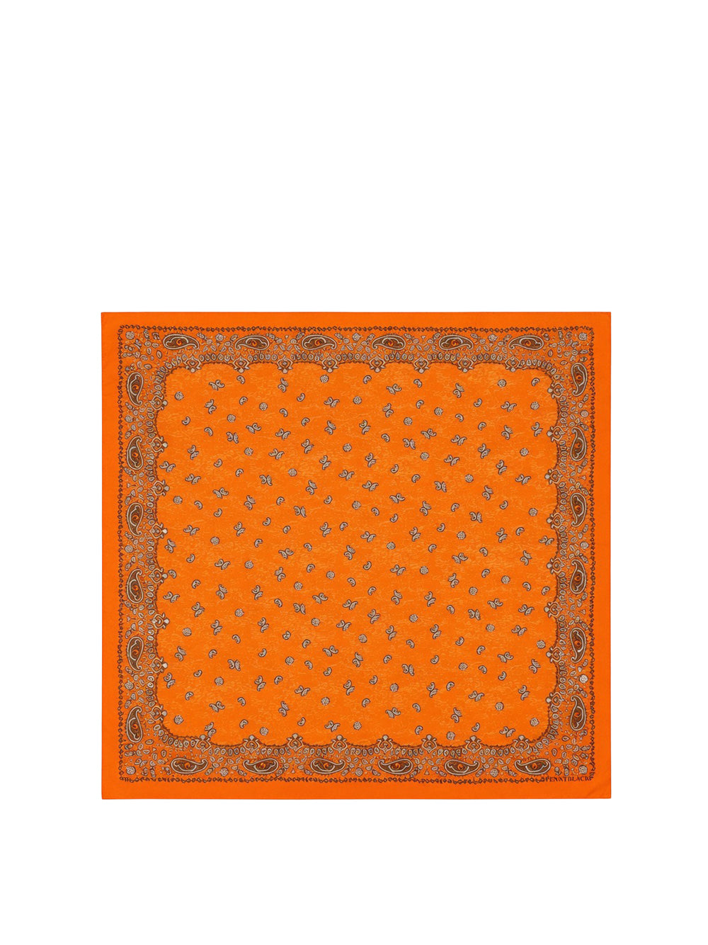 6a439cd94a4d9.jpg