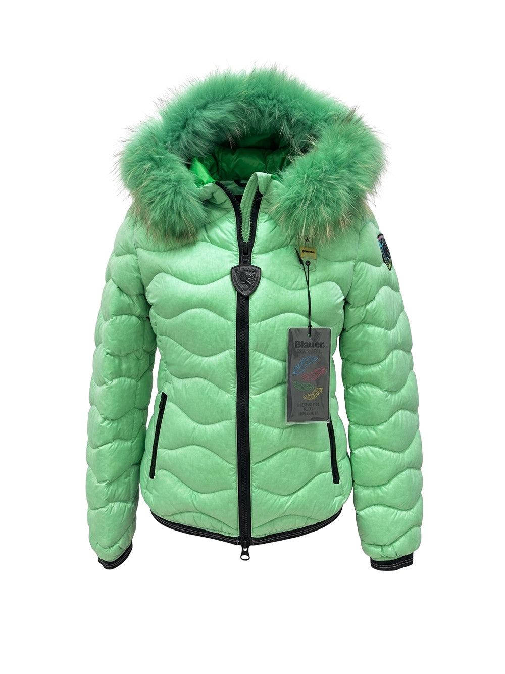 6ad5b9d21dc22.jpg